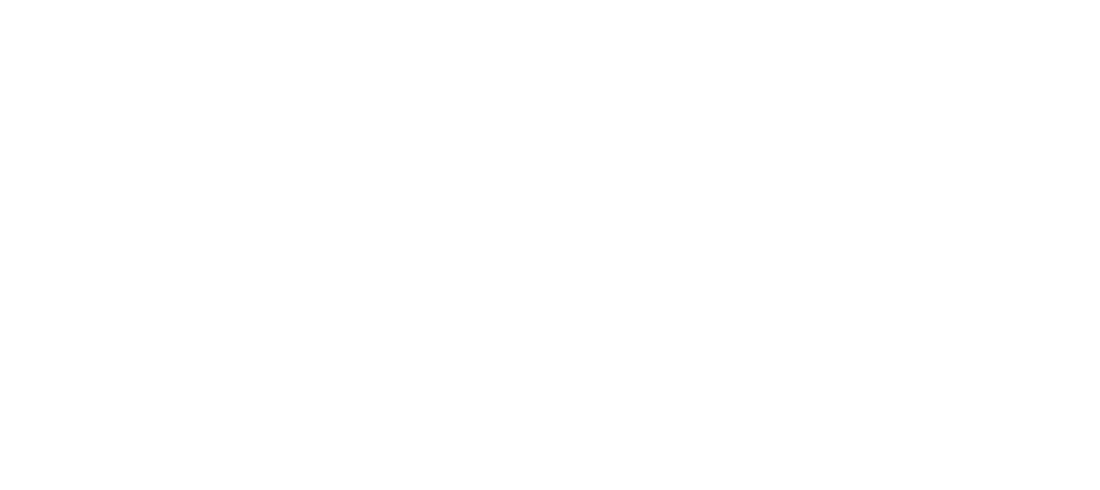 TheVIT