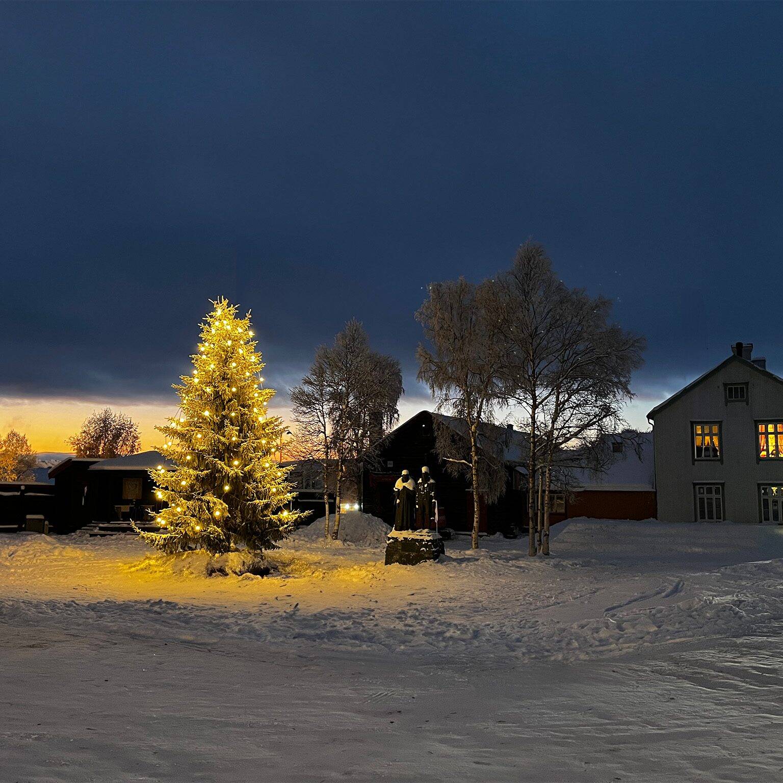 Ren Røros lyser opp i mørket. Foto: Lars Geithe