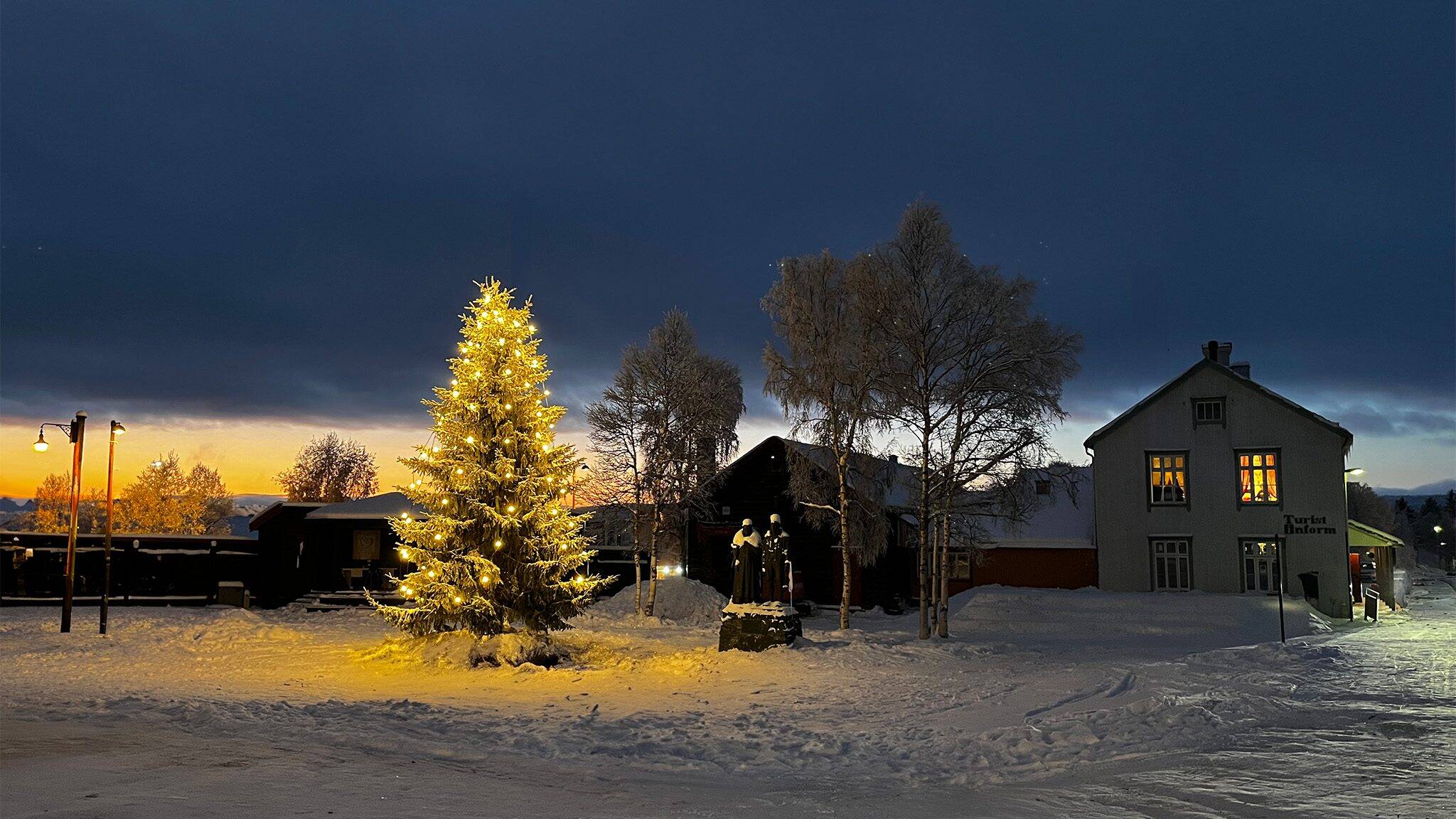 Ren Røros lyser opp i mørket. Foto: Lars Geithe