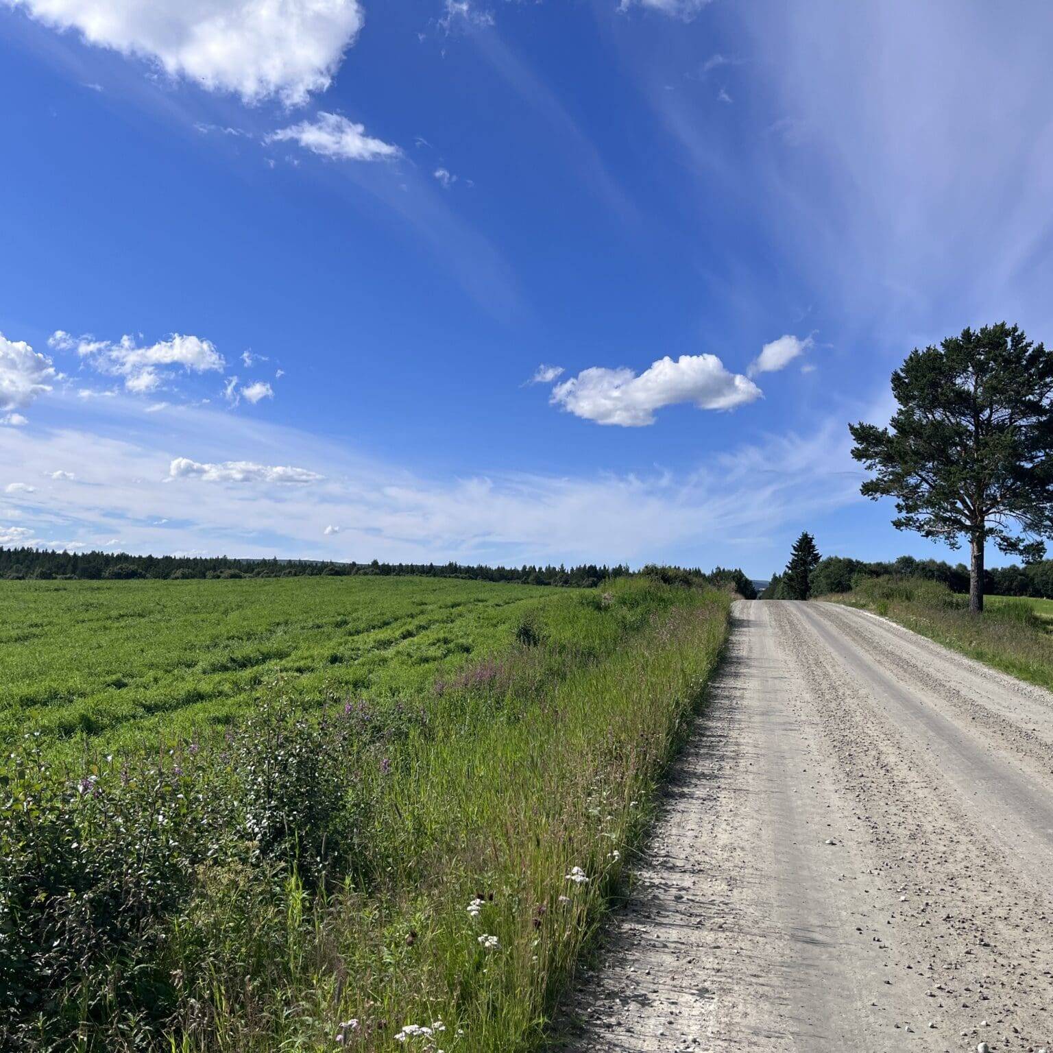 På vei til Mølmannsdalen. Foto: Lars Geithe