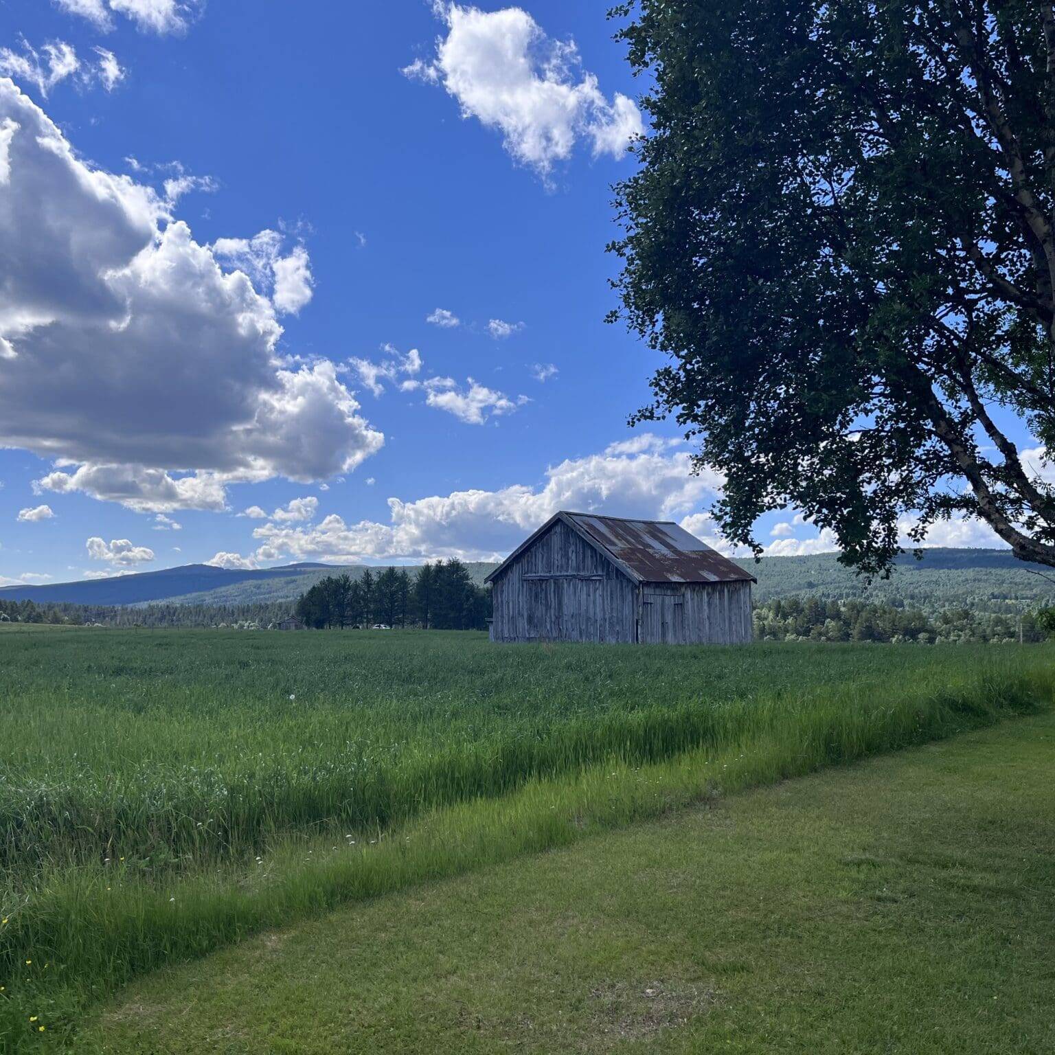 Røros. Foto: Lars Geithe