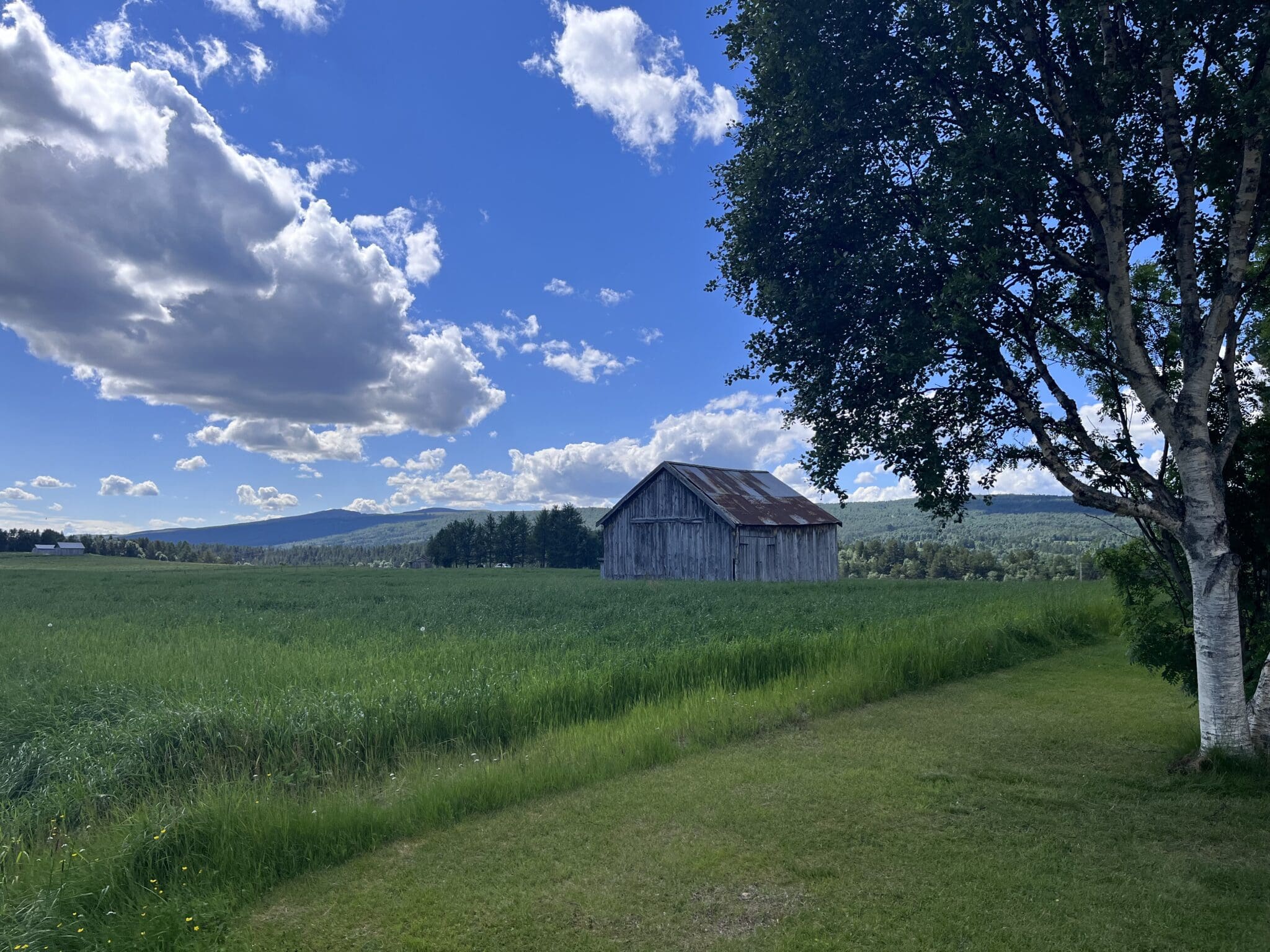 Røros. Foto: Lars Geithe