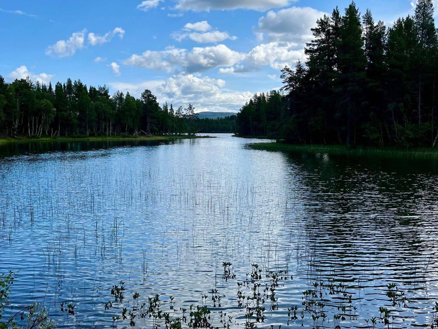 Ved Mølmannsdalen. Foto: Lars Geithe