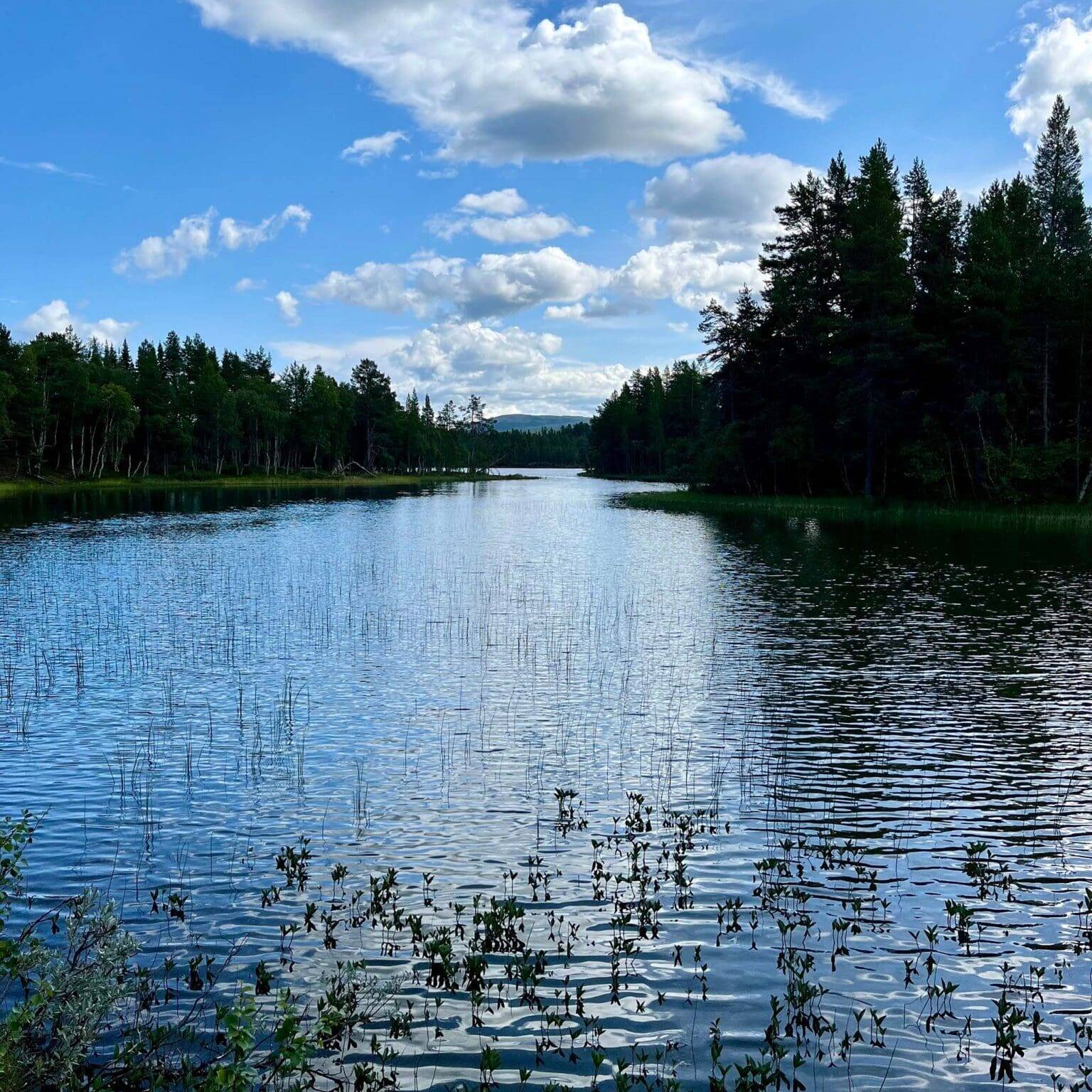 Ved Mølmannsdalen. Foto: Lars Geithe